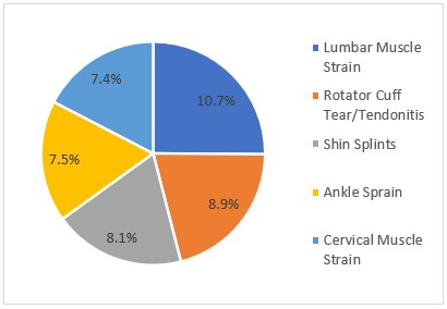 A pie chart depicting the most common injuries personal trainers see in their clients. 10.7% are lumbar muscle strains, 8.9% are rotator cuff tears or tendonitis, 8.1% are shin splints, 7.5% are ankle sprains, and 7.4% are cervical muscle strains.