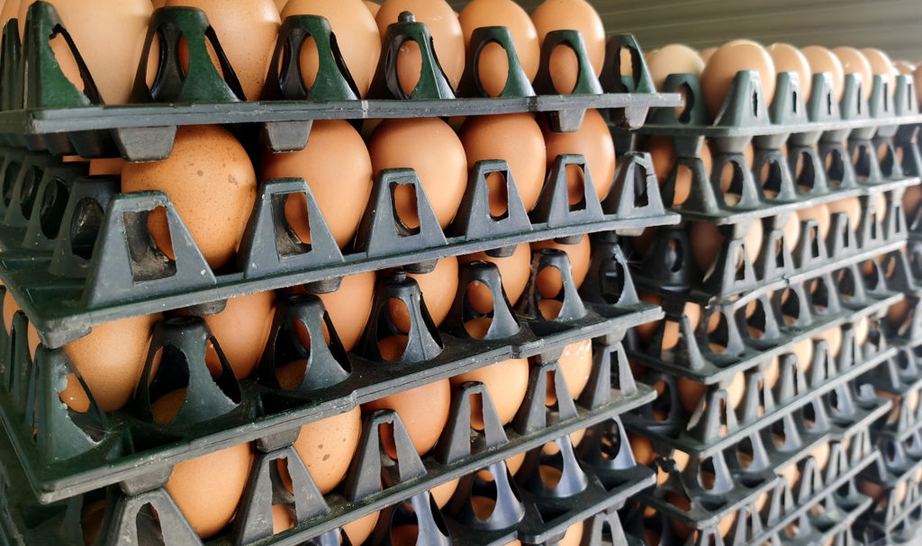 Stacks of brown eggs sit in cartons in a warehouse. Food items like this could be covered under wholesaler product liability insurance.