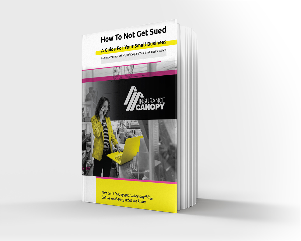 A book titled: How To Not Get Sued: A Guide For Your Small Business