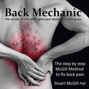 Back Mechanic book cover