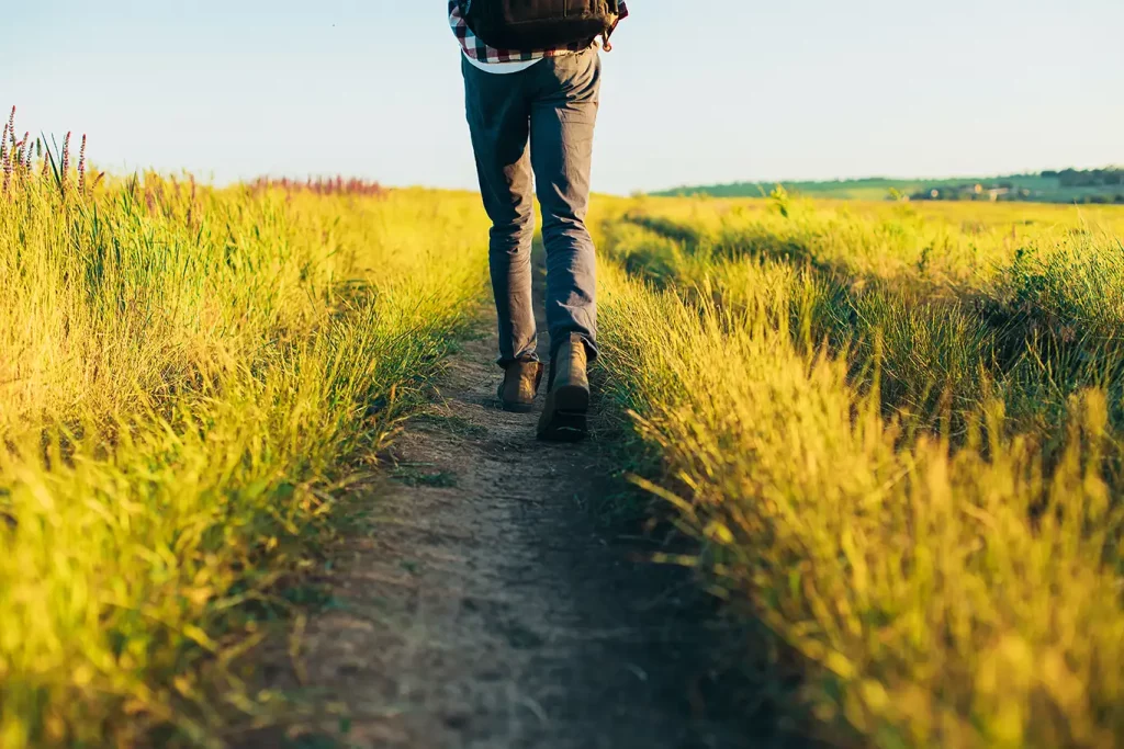 Person walking down a path surrounded by tall grass