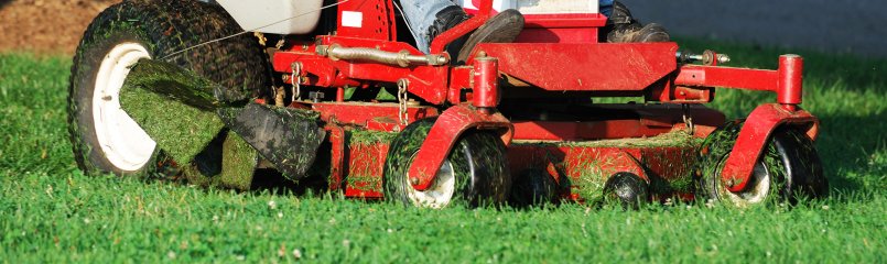 close-up of a lawn mower cutting the grass