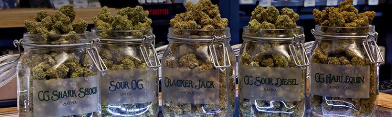 jars over filled with cannabis