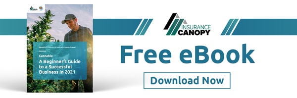 Download the free eBook, Beginner's Guide to the Cannabis Industry
