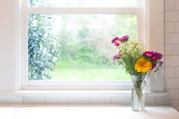 A clean window with flowers in front of it
