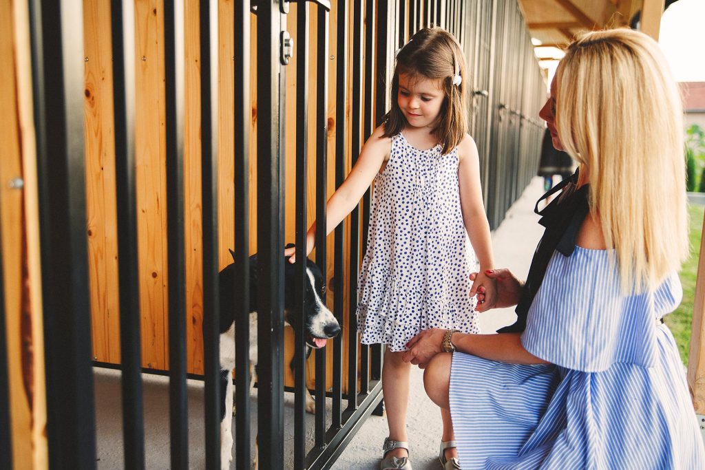 Girl petting dog in kennel