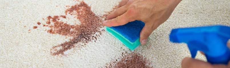 cleaning stain in rug